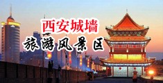 俄罗斯三级啪啪动态图中国陕西-西安城墙旅游风景区